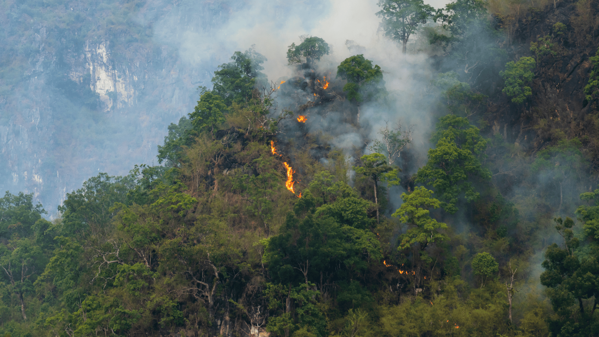 Forest fire with flames and smoke rising from trees on a mountainous landscape.