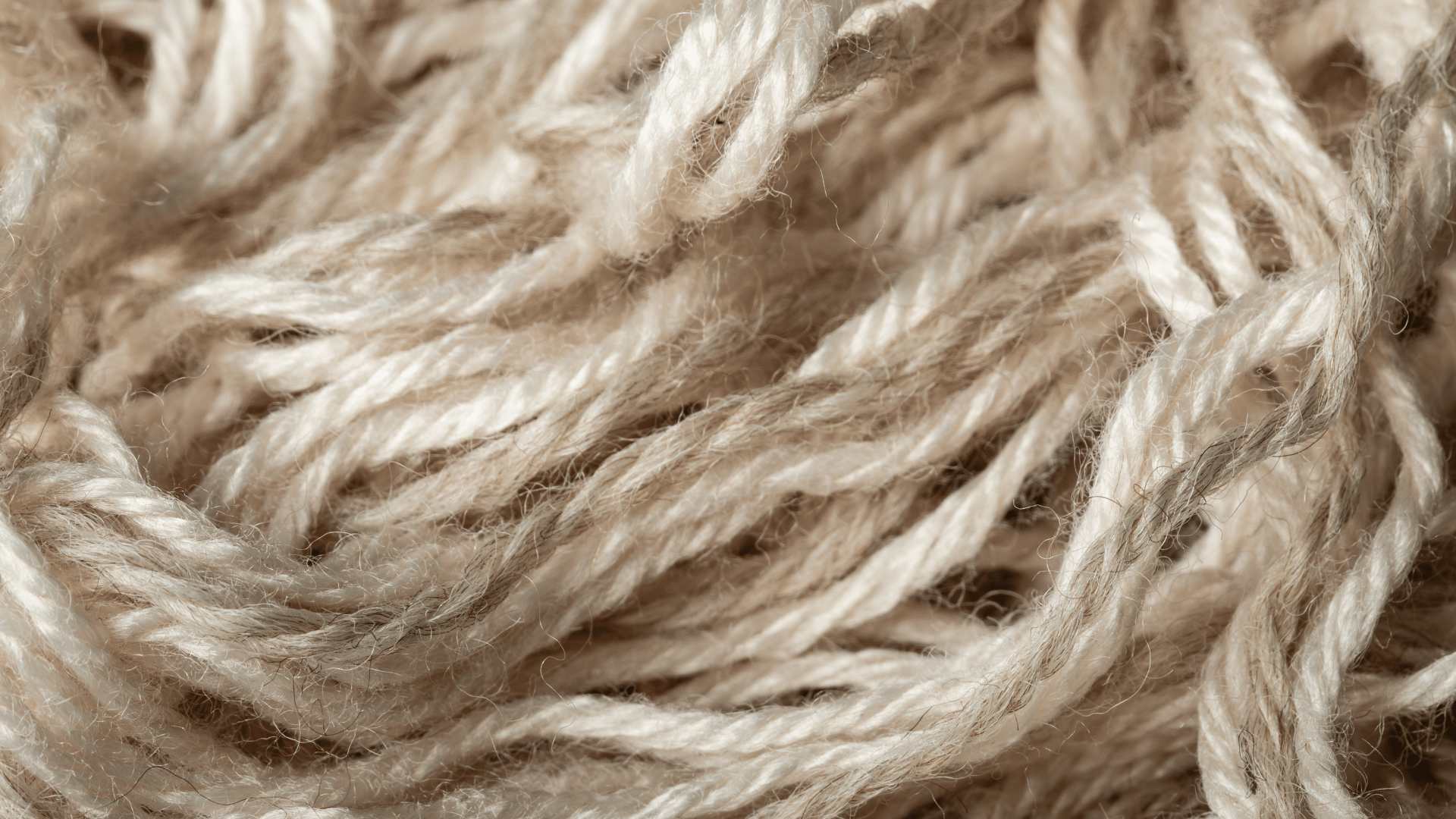 Close-up of beige yarn strands