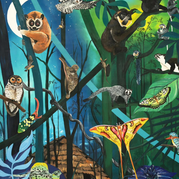 Illustration of various animals in a jungle setting with a night sky.